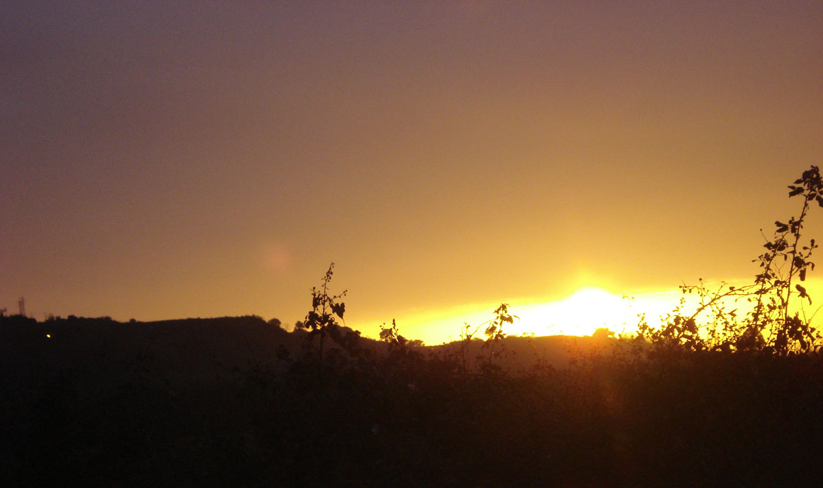 Ancora Ischia.........